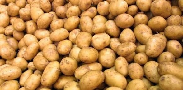 الزراعة تفتح استيراد البطاطا والطماطم والبصل وتوقف الرسوم عن منتجات حيوانية